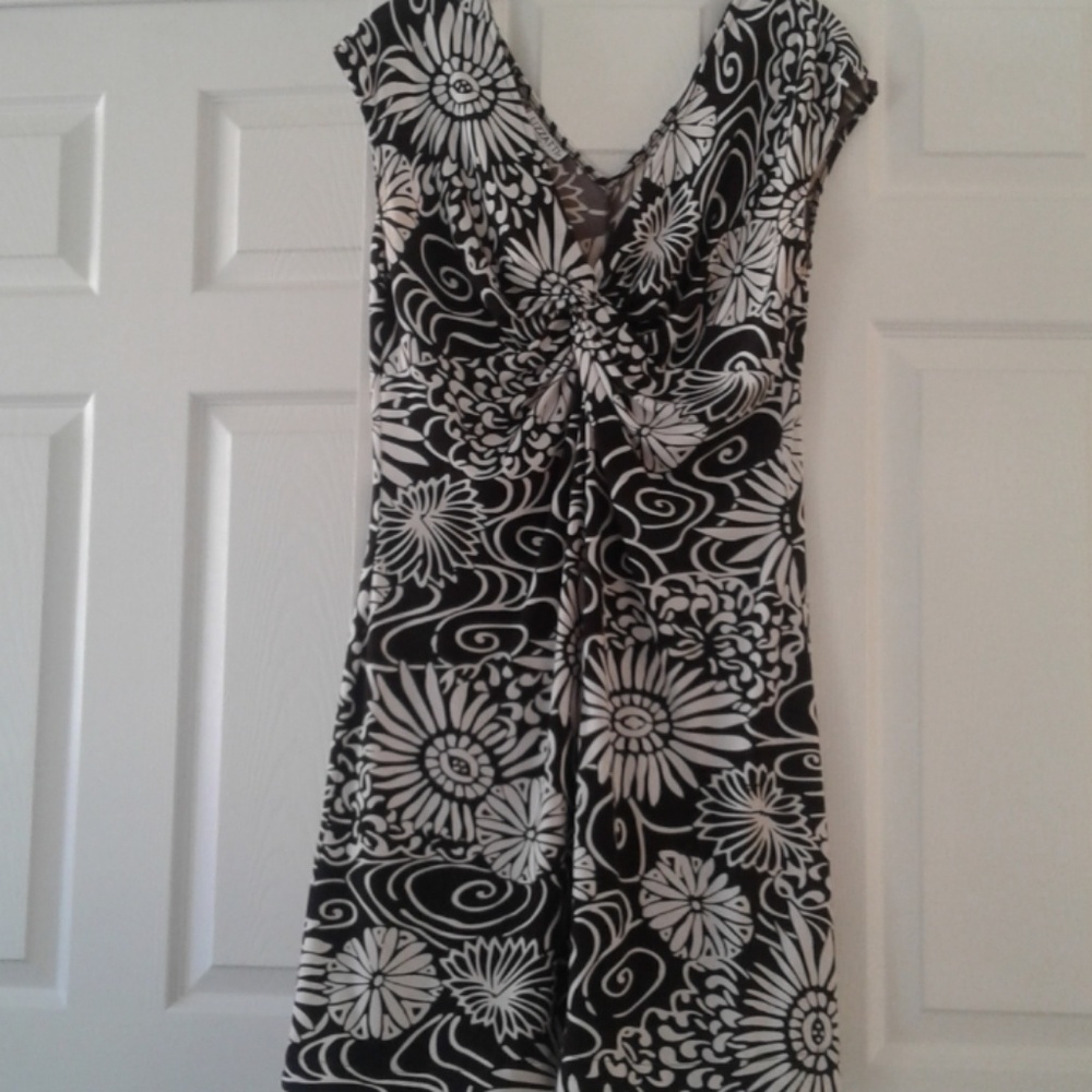 Lizzatti Dress LRG